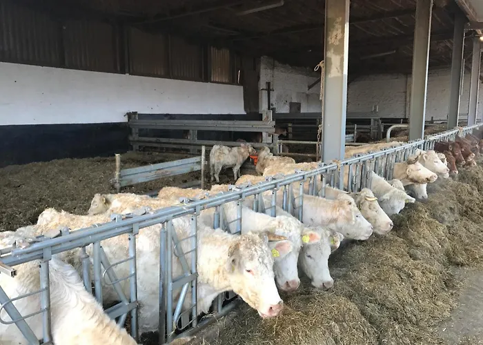 Auf Dem Bauernhof In Hof Kleeberg I Man Kann Ein Mit Bad Zubuchen דירה