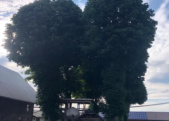 Auf Dem Bauernhof In Hof Kleeberg I Man Kann Ein Mit Bad Zubuchen הכנבורג